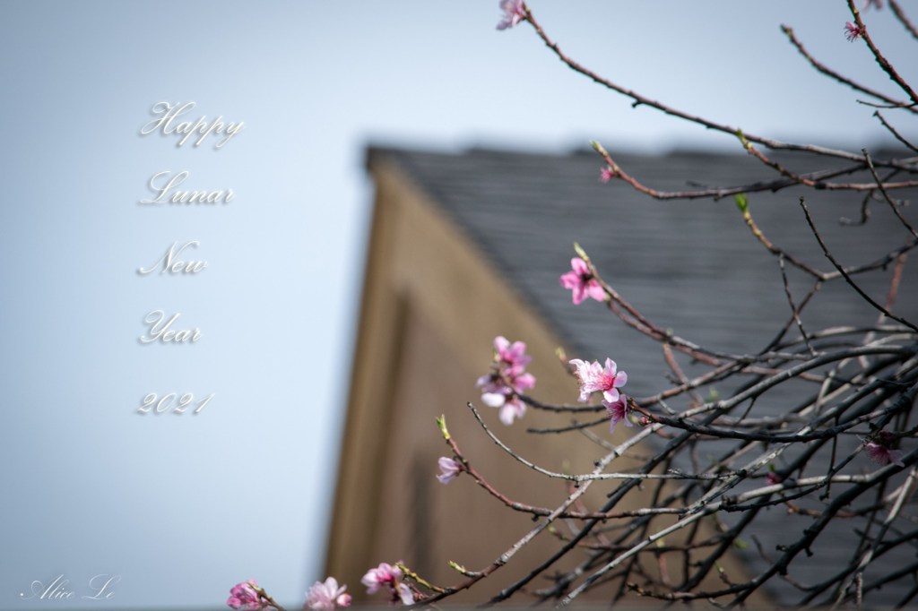 HAPPY LUNAR NEW YEAR&nbsp;2021